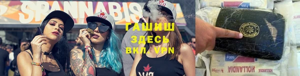 PSILOCYBIN Алзамай