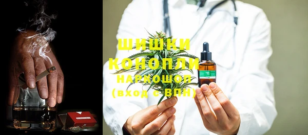 PSILOCYBIN Алзамай