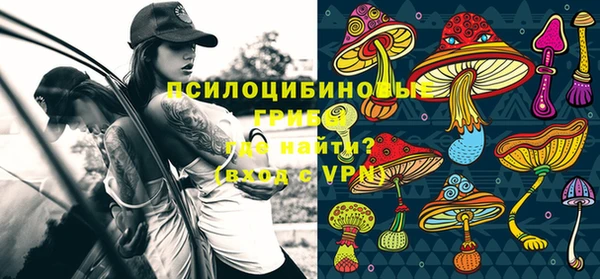 PSILOCYBIN Алзамай